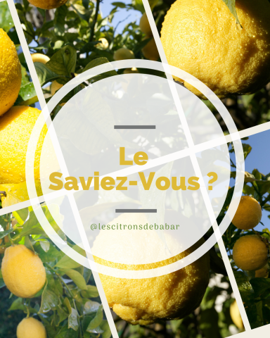 Visuel Les Citrons de Babar