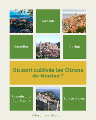 Visuel Les Citrons de Babar