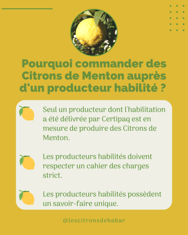 Visuel Les Citrons de Babar
